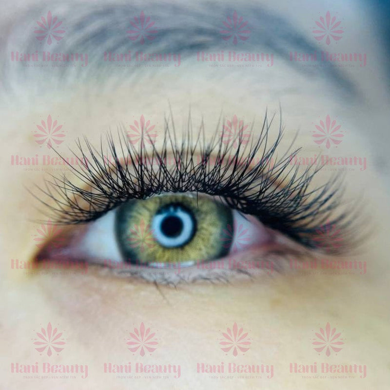 Eyelash Extension Business Opportunity