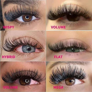 Current Eyelash Extension Styles: 7 Popular Eyelash Extension Styles
