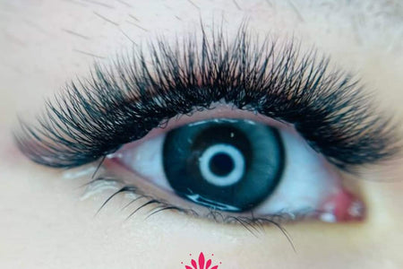 Top Benefits Of Using Premade Lash Fans 3D