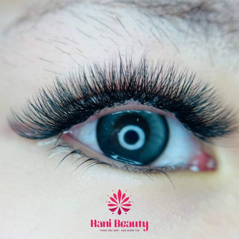 Top Benefits Of Using Premade Lash Fans 3D