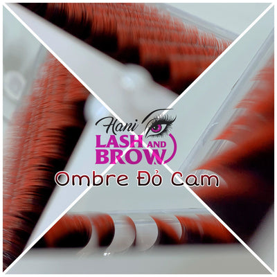 OMBRE SUPER MINK LASHES CURL: C , D , L